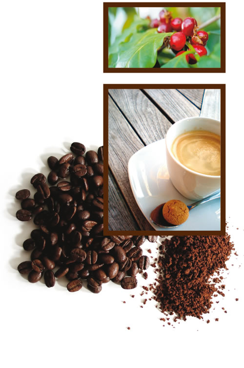 Colombia koffie melange